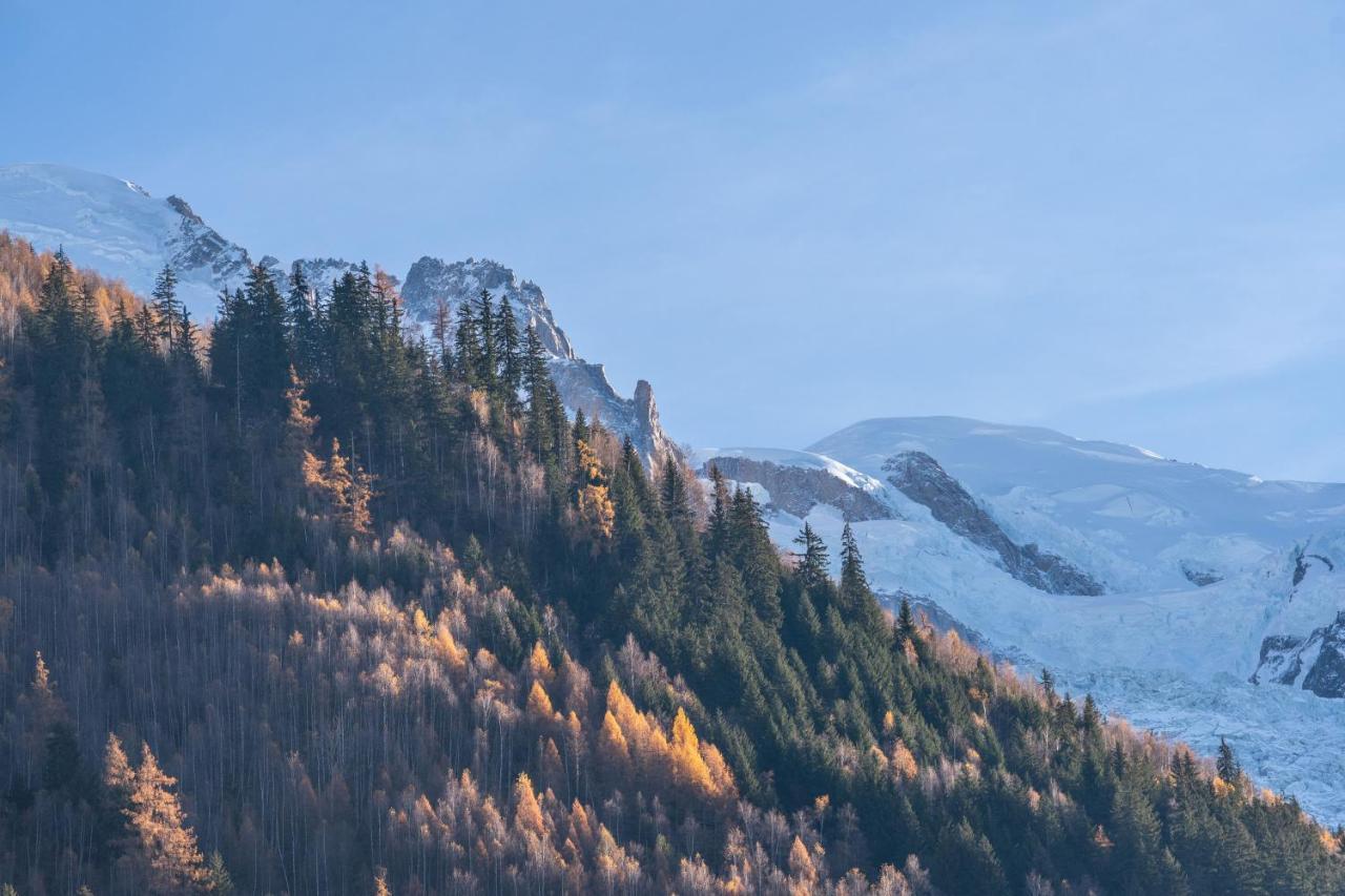 Chamonix Sud Studio With Mont Blanc Views Dış mekan fotoğraf